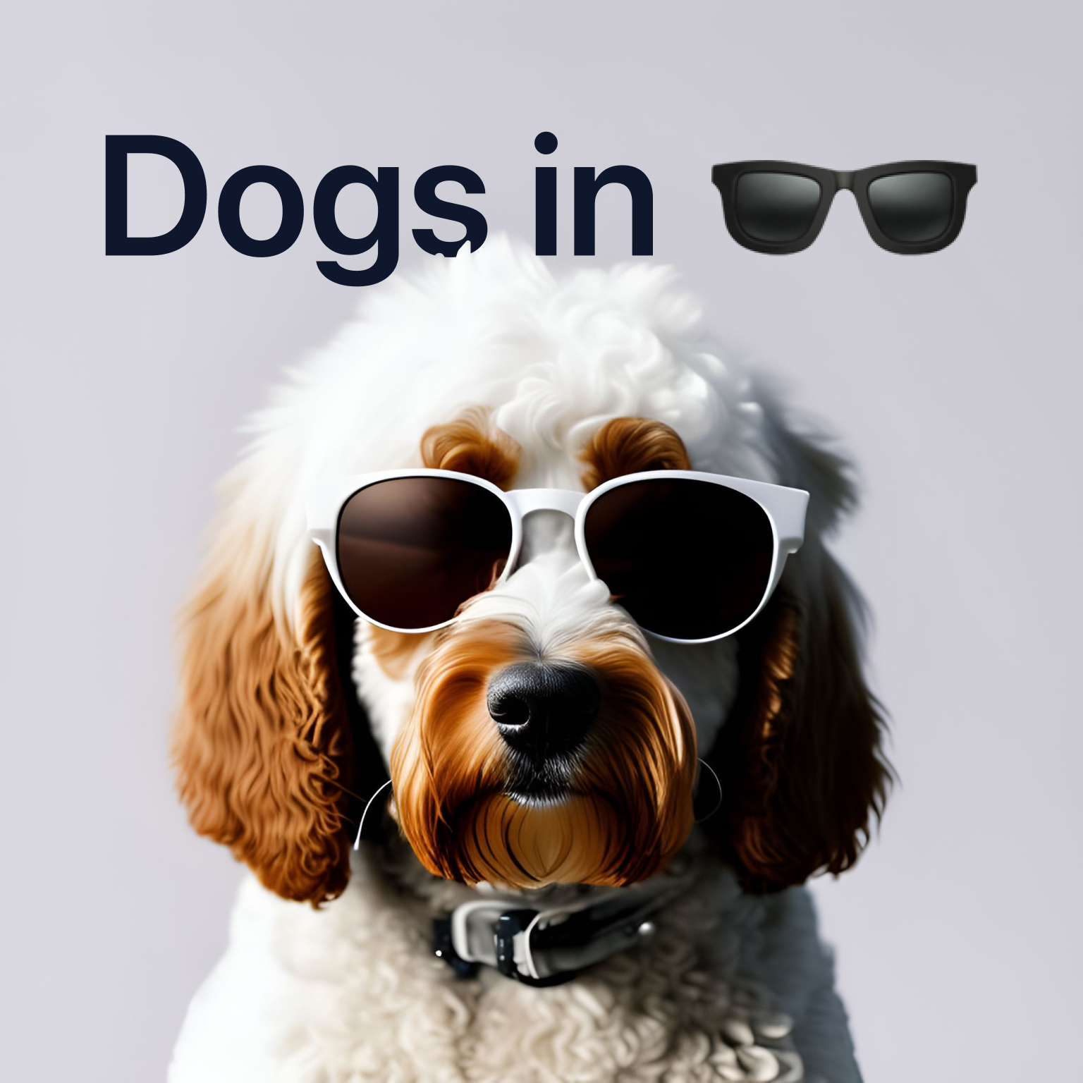 Dogs Wearing Sunglasses