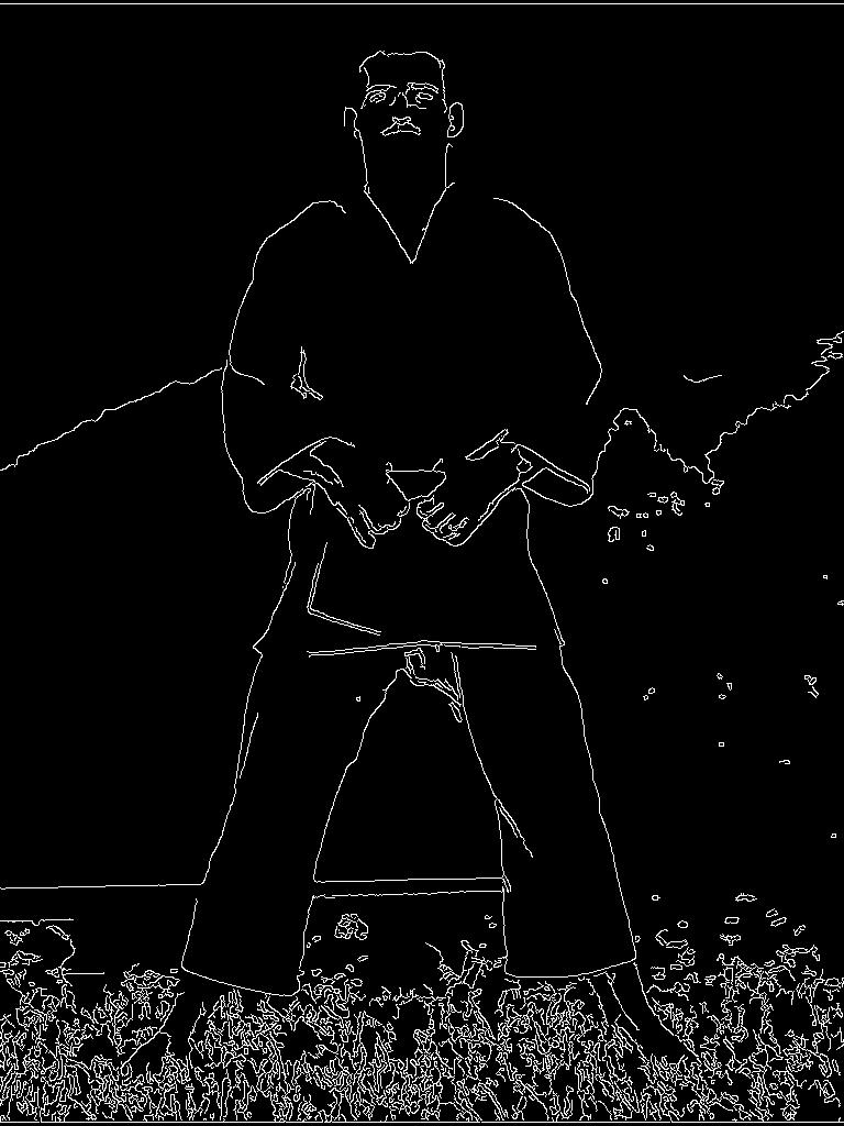 canaanshaffner Helio Gracie wearing a jiujitsu robe, hands on hips, looking into the camera